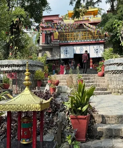 gallery-image