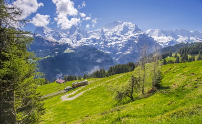 train-runs-through-beautiful-landscape-swiss-alps